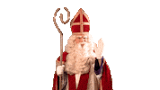 5December Sintenpiet Sticker by benniesolo