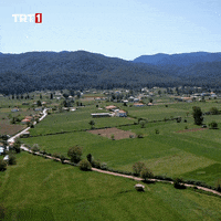 Travel Golf GIF by TRT