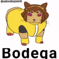 Cat Glitch GIF