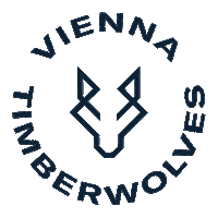 Sport Basketball Sticker by Vienna Timberwolves