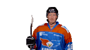 unisflyers eagles flyers 18 nederland Sticker