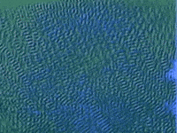 Once In A Lifetime GIF by Talking Heads