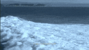 The Wave GIF by Bedouine