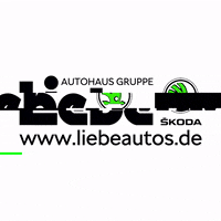 skoda_autohaus_liebe liebe skoda autohaus skodaliebe GIF