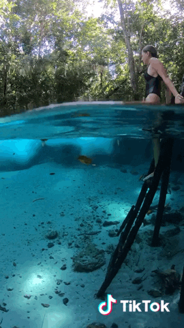 gabrielaguimaresalvarenga giphyupload GIF
