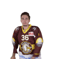 Goal Floss Sticker by Genève-Servette Hockey Club