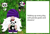 Panda Bear Gnome GIF