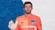 Lets Go Reaction GIF by Hertha BSC