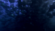 symphony for our world GIF by Nat Geo Wild 