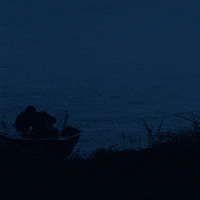 ozark GIF by NETFLIX
