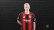 Eintracht Frankfurt Football GIF by Bundesliga