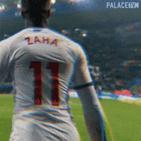Premier League Football GIF by CPFC