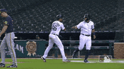 Sport Win GIF by Detroit Tigers