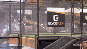 Dog Jumping GIF by Outside TV