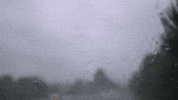Car Driving GIF by DIIMSA Stock