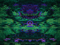 GIF by Leo Pyrata