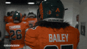 Rams Football Csurams GIF by Colorado State Rams