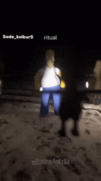 Homer Bart GIF