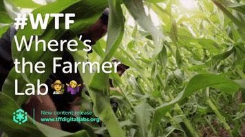 thoughtforfood wtf tffdigitallabs thought for food wheres the farmer GIF
