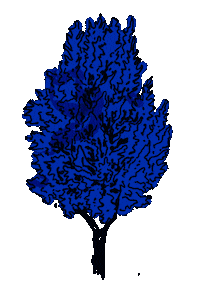 ahnjyo blue drawing tree ahnjyo Sticker