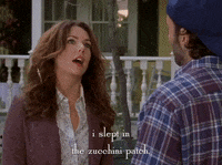 season 4 netflix GIF by Gilmore Girls 