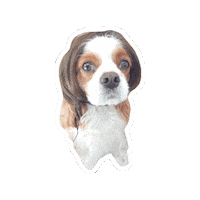 キャバスタ Sticker