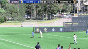 Sjsu Spartanup GIF by San Jose State Spartans