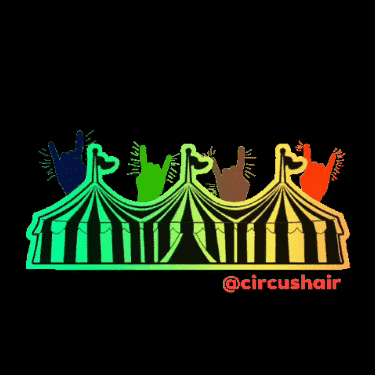 Circusnololla GIF by Circus Hair