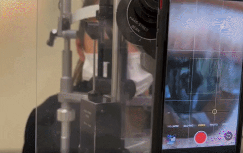 yj_jane giphygifmaker GIF