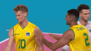 GIF by Volleyball World