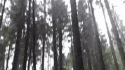 ThenexSportOG thenexsport thenex GIF