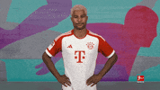 No Way Football GIF by Bundesliga