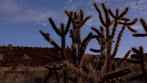 annakerepeczki giphyupload breaking bad GIF