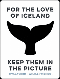 Whale GIF by Styngvi