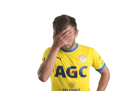 Trubac Facepalm Sticker by FORTUNA:LIGA
