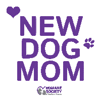 humane society dog Sticker by Humane Society of Southern Arizona