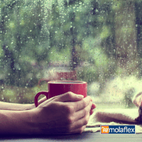 Rainy Morning GIF by QAP