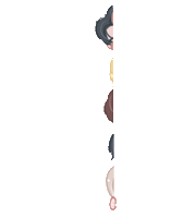 Boys Hb Sticker