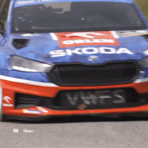 Racing Driving GIF by FIA European Rally Championship