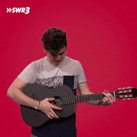 Guitar No GIF by SWR3