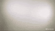 No Idea Reaction GIF by TechSmith