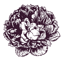 Pink Flower Sticker