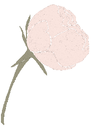 Pink Flower Sticker