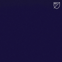 Nashville Sc Smh GIF by Major League Soccer