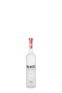 Happy Party Sticker by Runes Vodka