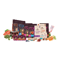 Wellness Core Sticker by Tree of Pets