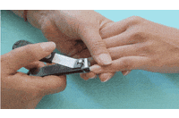 nails GIF