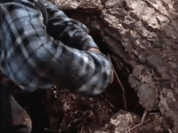 are you afraid of the dark nicksplat GIF