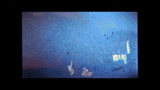 Music Video Dancing GIF by Aries