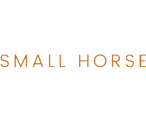 Shetlandpony Small Horse Sticker by lightandsupplehorses